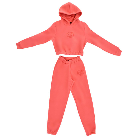 Target Παιδικές φόρμες σετ Cropped Hoodie & Jogger Pants Fleece "Icon" Target Παιδικές φόρμες σετ Cropped Hoodie & Jogger Pants Fleece "Icon"